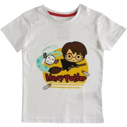 Warner - Harry Potter Boys Short Sleeved T-shirt 134/140