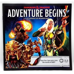 Dungeons and Dragons : The Adventure Begins 