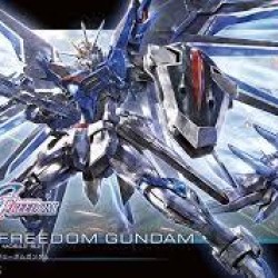 Gundam Rising Freedom HG 1/144 stts-909
