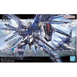 Gundam Rising Freedom HG 1/144 stts-909