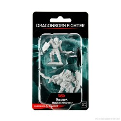 D&D - Nolzuls Marvelous Miniatures - Dragonborn Male Fighter