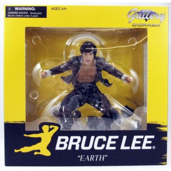 Bruce Lee Gallery Earth PVC Statue